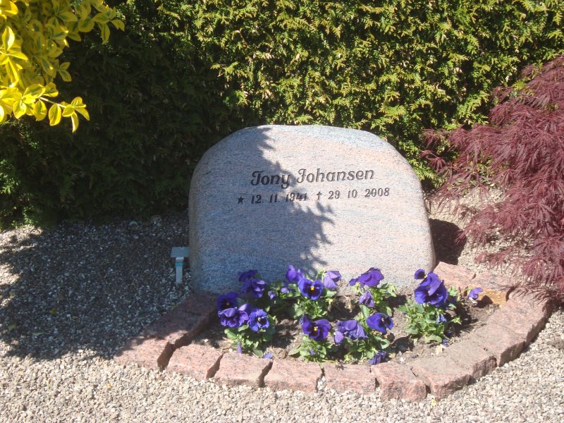 Tony Johansen.jpg